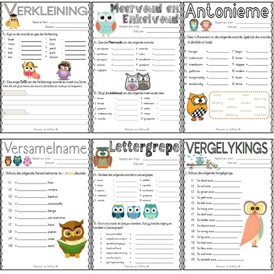 Graad 5/6 Afrikaans Werkkaarte PAK 03