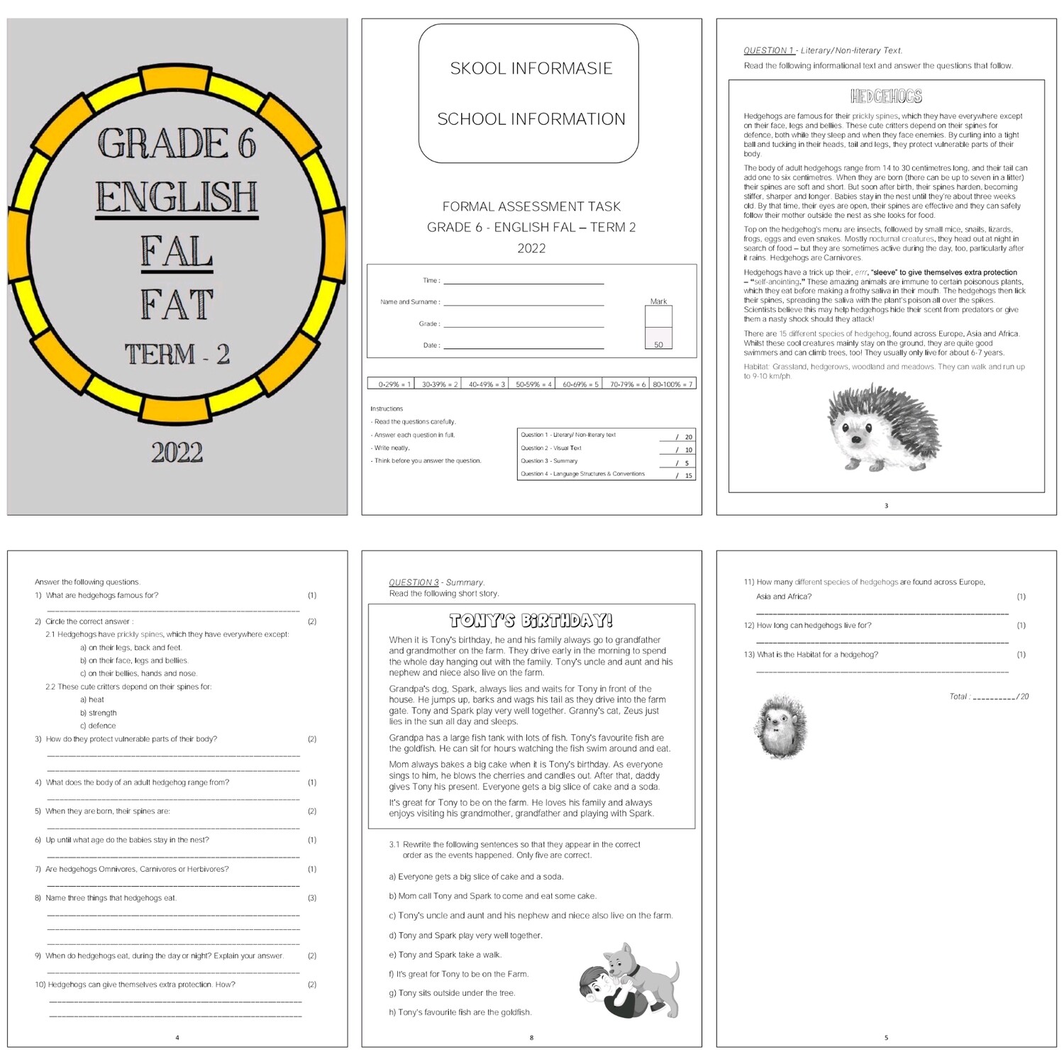 grade-6-english-fal-assessment-term-2