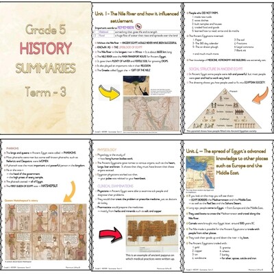 Grade 5 TERM 3 Summaries package