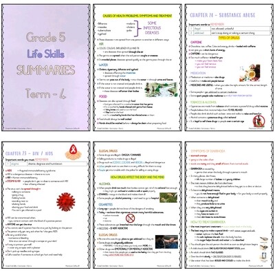 Grade 5 TERM 4 Summaries package