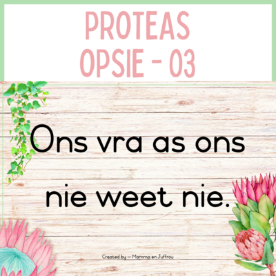 Proteas - OPSIE 03