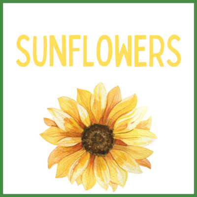 SUNFLOWERS