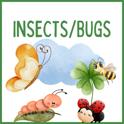 INSECTS / BUGS