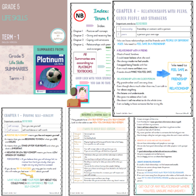 Grade 5 TERM 1 Summaries package
