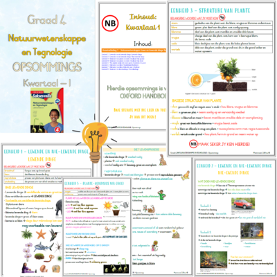 Graad 4 Natuurwetenskappe en Tegnologie KW1 (OXFORD)