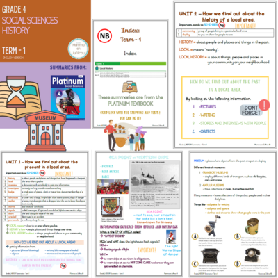 Grade 4 TERM 1 Summaries package