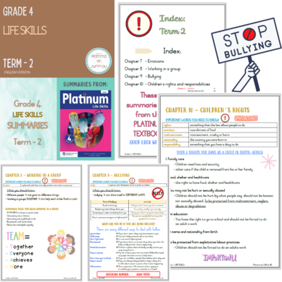 Grade 4 TERM 2 Summaries package