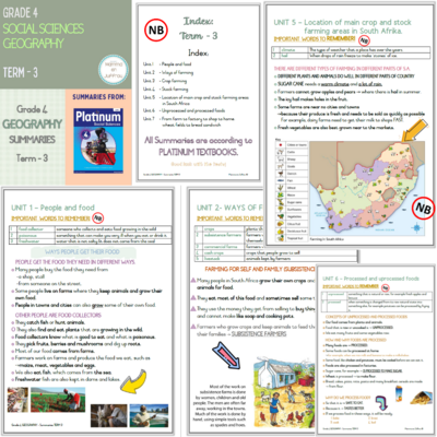 Grade 4 TERM 3 Summaries package