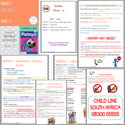 Grade 5 TERM 2 Summaries package