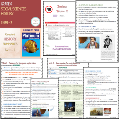 Grade 6 TERM 2 Summaries package