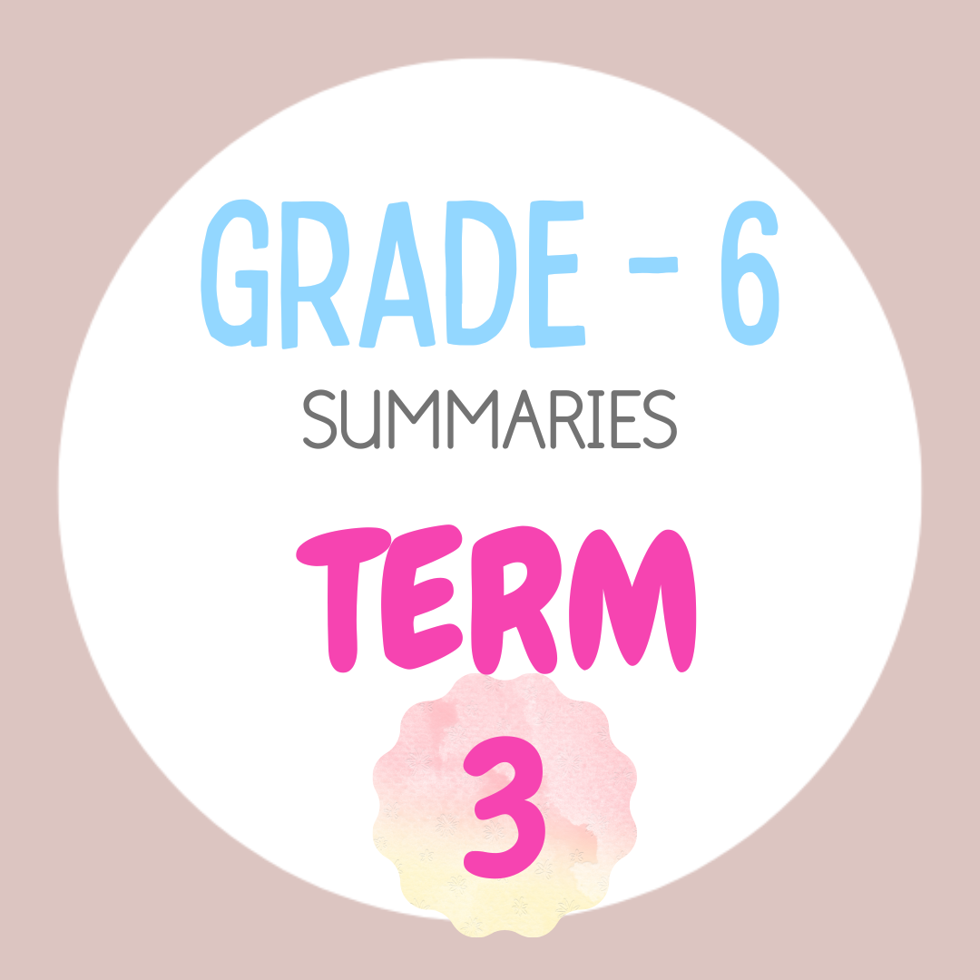 Grade 6 TERM 3 Summaries package