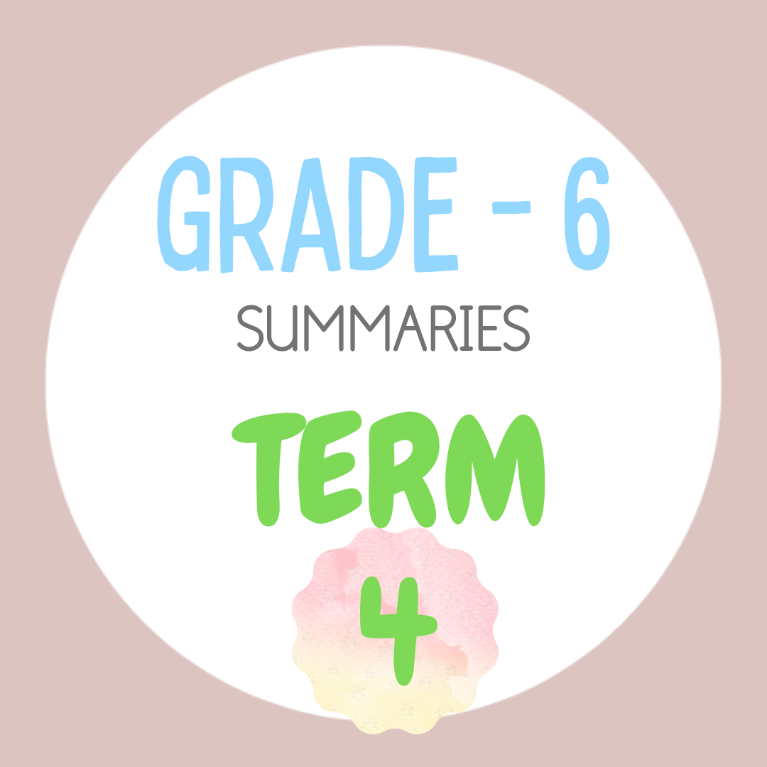 Grade 6 TERM 4 Summaries package