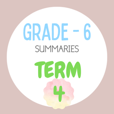 Grade 6 TERM 4 Summaries package