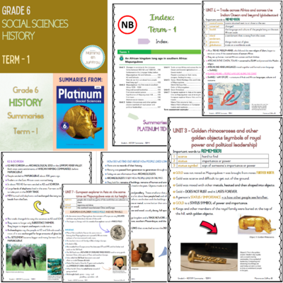 Grade 6 TERM 1 Summaries package