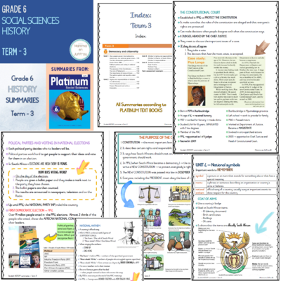 Grade 6 TERM 3 Summaries package