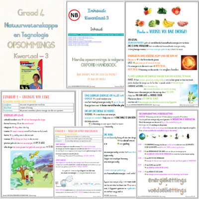 Graad 4 Natuurwetenskappe en Tegnologie KW3 (OXFORD)