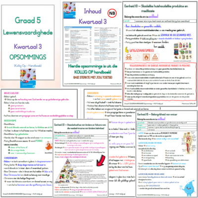 Graad 5 Lewensvaardighede KW3 (KOLLIG OP)