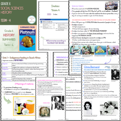 Grade 6 TERM 4 Summaries package