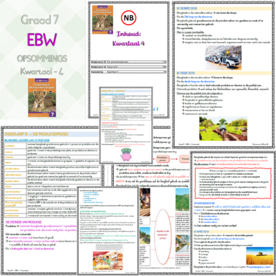Graad 7 EBW KW4 (KEN EN VERSTAAN)