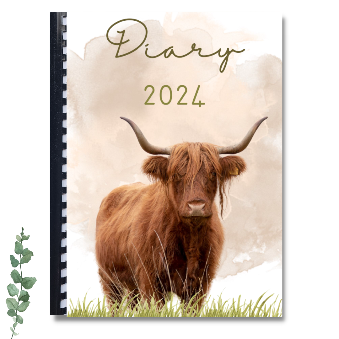 Diary - Highland cows