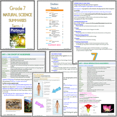 Grade 7 NS - NATURAL SCIENCES Summaries - Term 1 (PLATINUM)