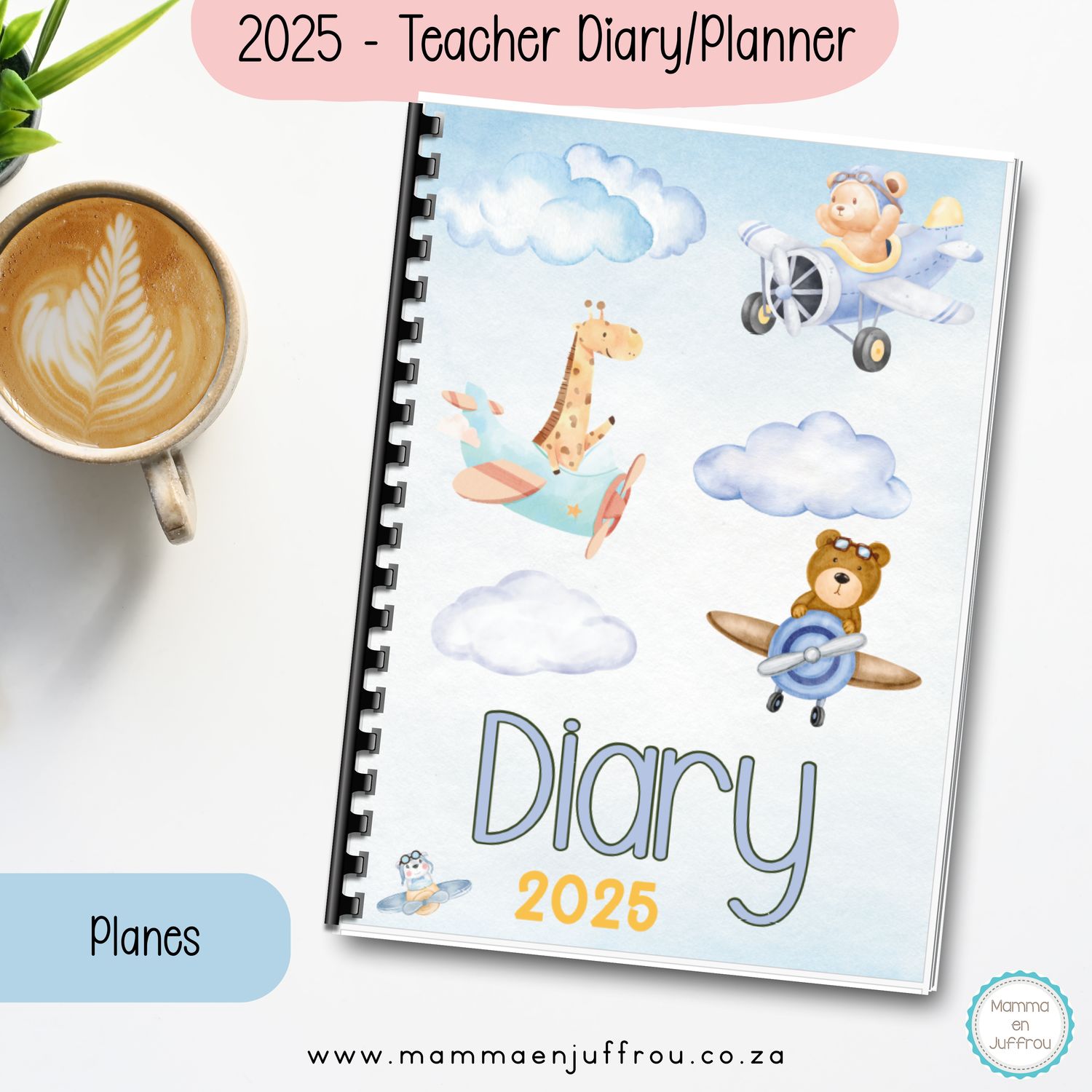 2025 Diary - Planes