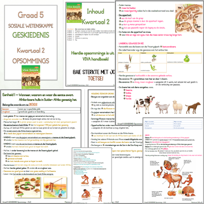 Graad 5 SW-GESKIEDENIS KW2 (viva)