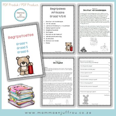 PAK 01 Begripstoetse - Afrikaans HT/EAT (Gr4/Gr5/Gr6)