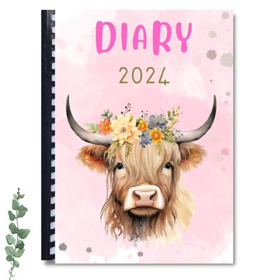 Diary - Highland cows 2