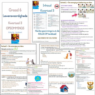 Graad 6 Lewensvaardighede Kwartaal 3 (KOLLIG OP)