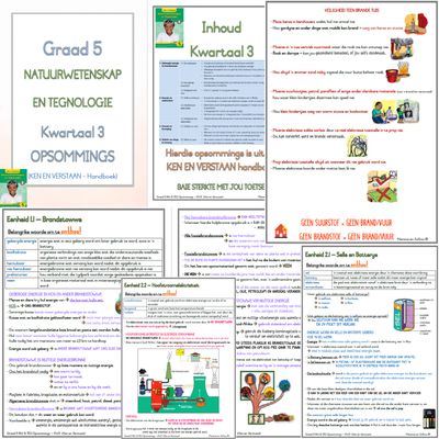 Graad 5 NW KW3 (Ken en Verstaan)