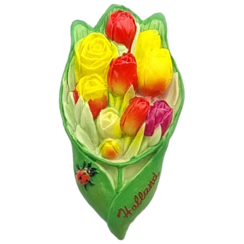 Magneet Tulpen