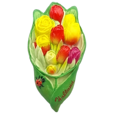 Koelkastmagneet van een bos kleurrijke tulpen