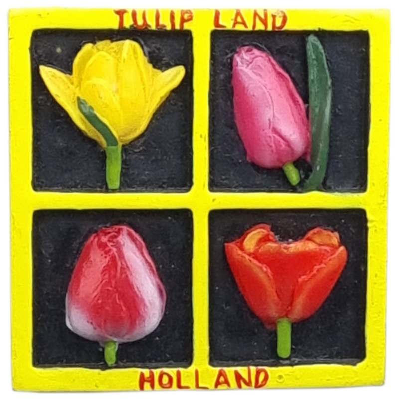 Magneet Tulpen vierluik