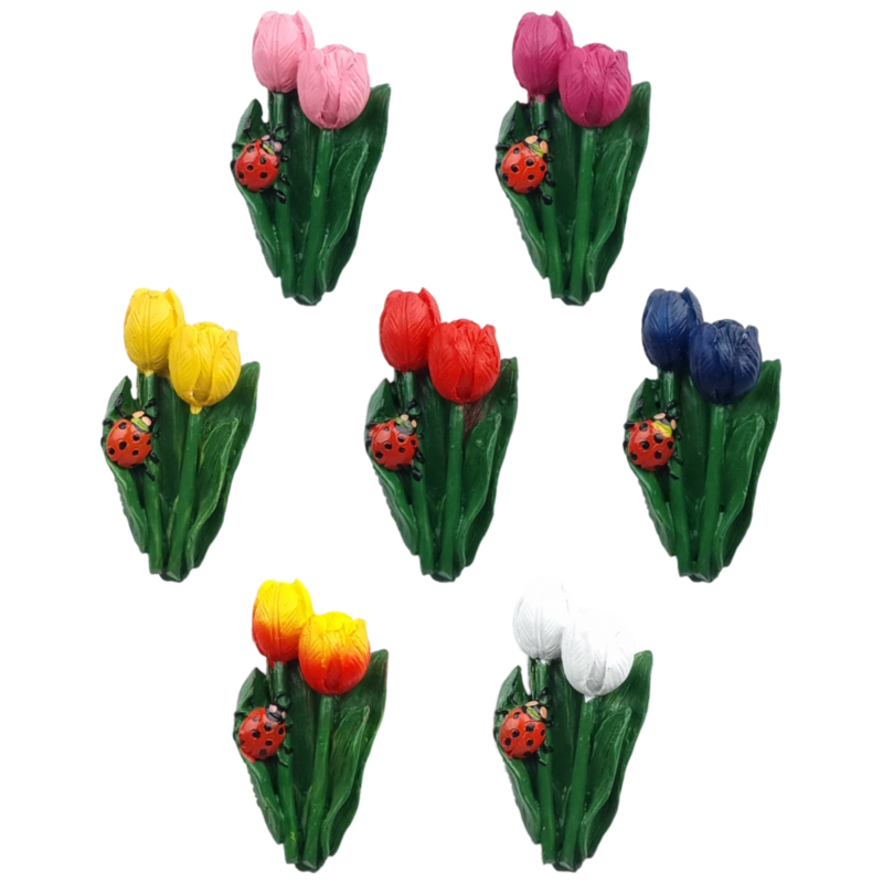 Magneet Tulp