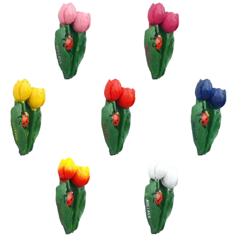 Magneet Tulp