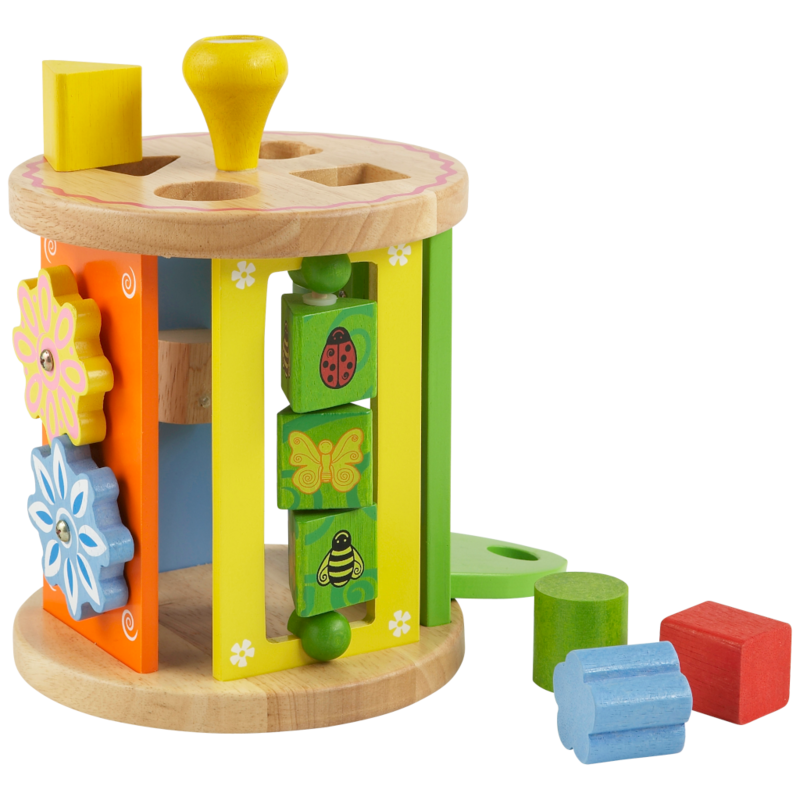 Activity roller