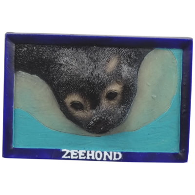 Memo zeehond in blauw frame