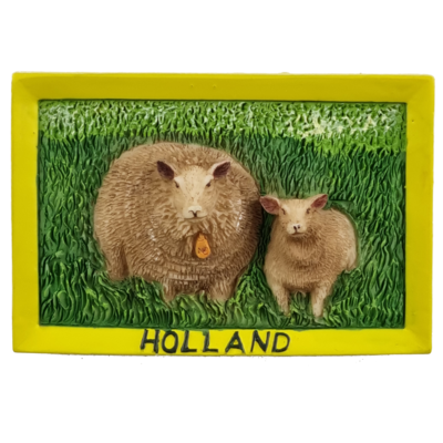 Memo schaap+lam in weiland Hol