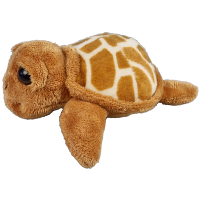 Grote ogen schildpad bruin 15 cm