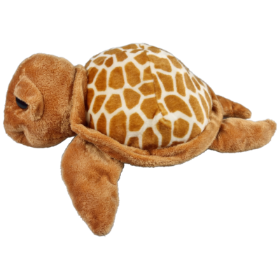 Grote ogen schildpad bruin 30cm
