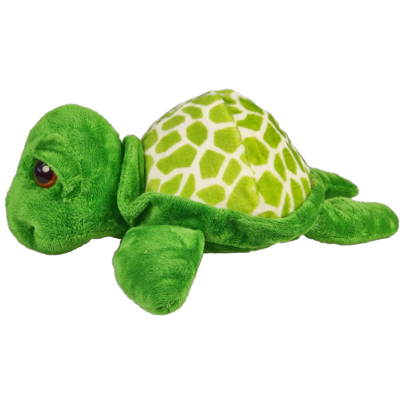 Grote ogen schildpad groen 30cm
