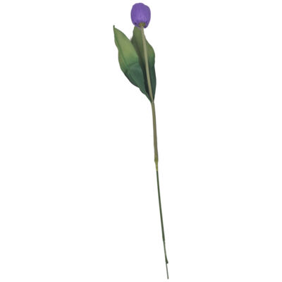 Polyester tulp lavend.clr.TL12