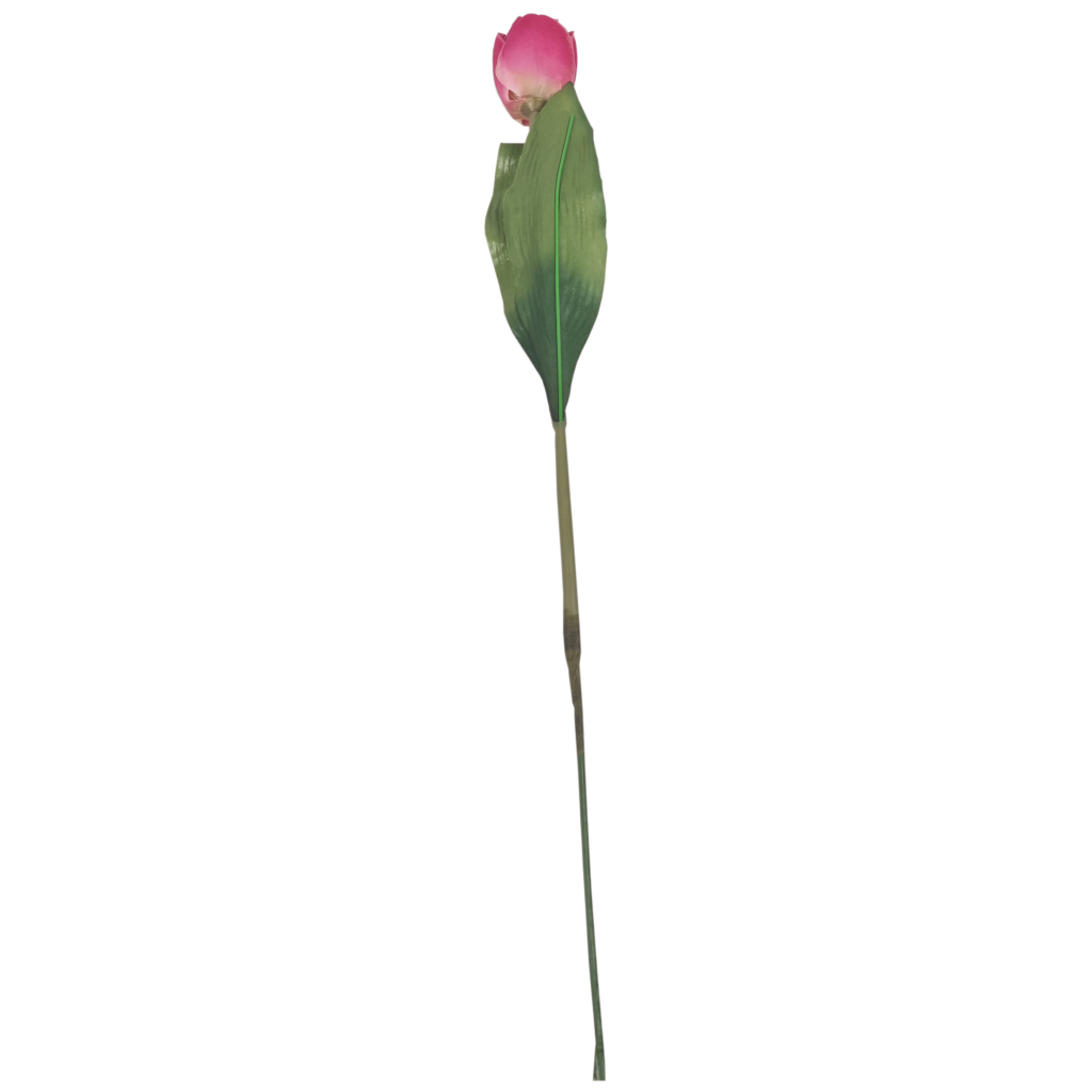 Polyester tulp fuchsia    TL65