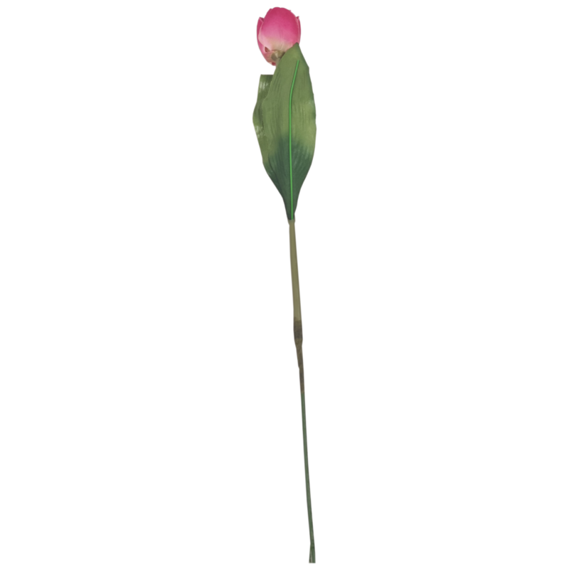 Polyester tulp fuchsia