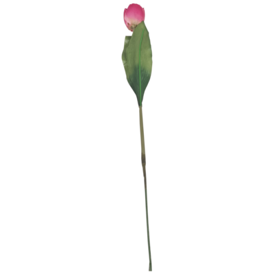Polyester tulp fuchsia    TL65