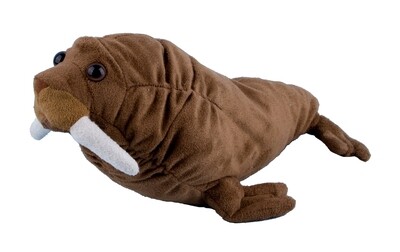 Walrus 35 cm