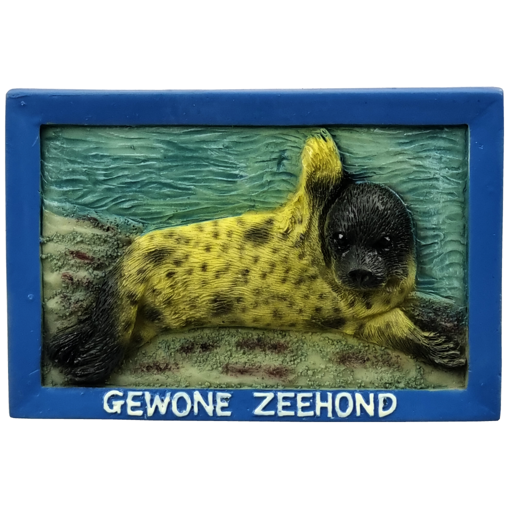 Memo gewone zeehond