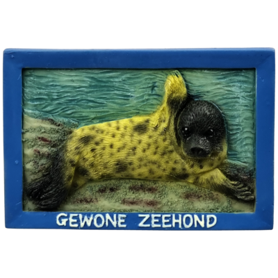 Memo gewone zeehond