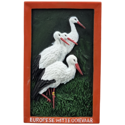 Memo Witte Ooievaar